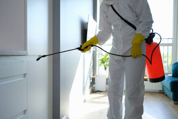 Certified Mold Removal in North Riverside, IL